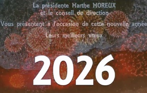 Vœux 2026