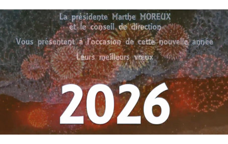 Vœux 2026